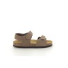 PLAKTON PONY Cuero